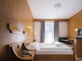 1 Bedroom Standard Double room with mountain view