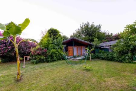 Etenna Beach Bungalows - 78