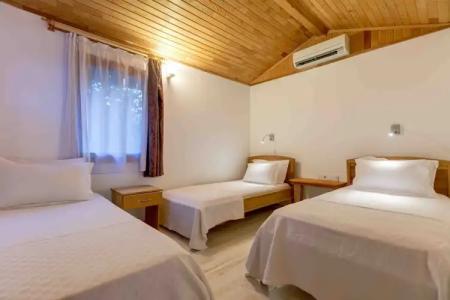 Etenna Beach Bungalows - 90