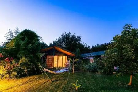 Etenna Beach Bungalows - 43