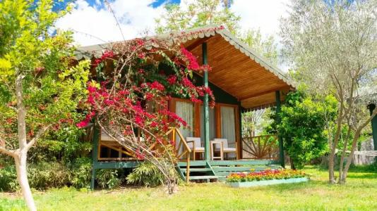 Etenna Beach Bungalows - 28