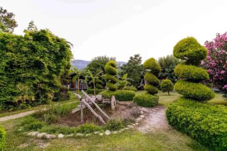 Etenna Beach Bungalows - 6