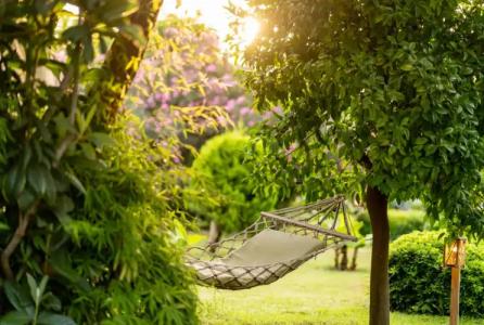 Etenna Beach Bungalows - 1