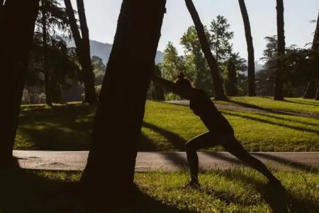 Palazzo BelVedere - 27