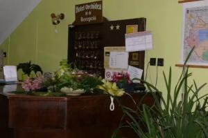 Hotel Orchidea, Szeged