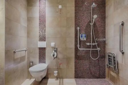 Four Points by Sheraton Kecskemet es Konferenciakozpont - 53