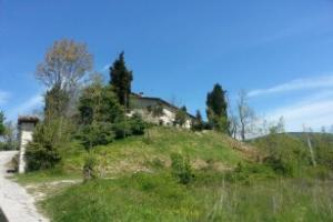 La Brombolona, Urbino