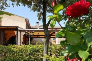 Country House Torre Burchio, Bettona