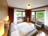 Comfort Double room with mountain view