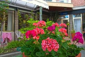 Park Hotel Castello, Finale Ligure
