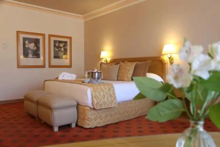 Gran Los Abetos - 32