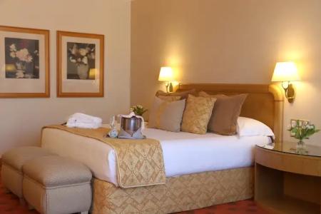 Gran Los Abetos - 35