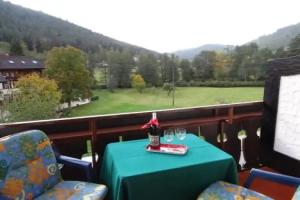 Schwarzwaldhaus am Kurpark, Enzklosterle