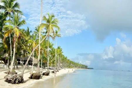 Barceló Bávaro Palace All Inclusive - 27