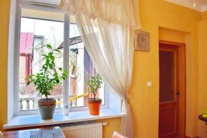 Cozy room in Kaunas, Kaunas