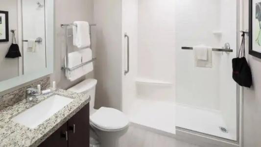 TownePlace Suites by Marriott Orlando at SeaWorld - 58