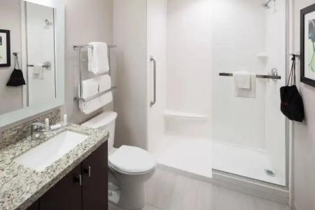 TownePlace Suites by Marriott Orlando at SeaWorld - 28