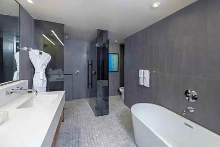 The Statler Dallas, Curio Collection By Hilton - 114