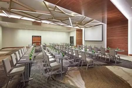 The Statler Dallas, Curio Collection By Hilton - 19