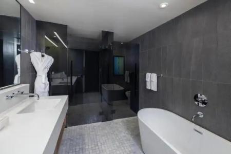 The Statler Dallas, Curio Collection By Hilton - 80