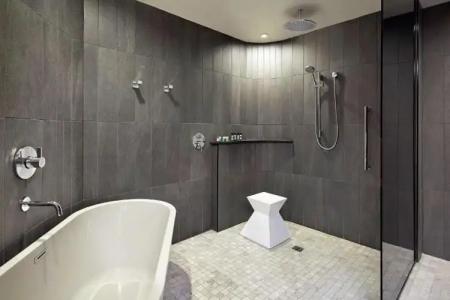 The Statler Dallas, Curio Collection By Hilton - 62