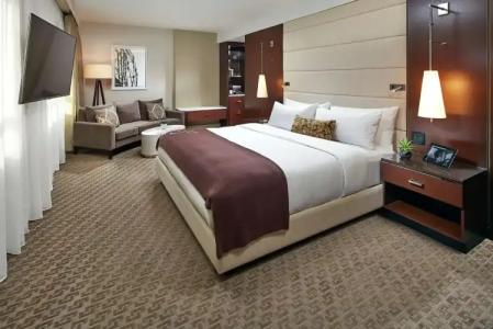 The Statler Dallas, Curio Collection By Hilton - 32