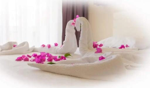 Agva Apart Otel - 64