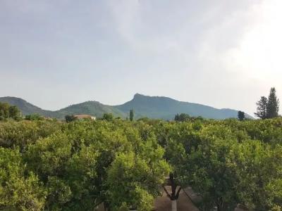 Agva Apart Otel - 33