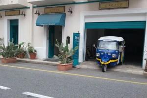 Scilla Sirene, Scilla
