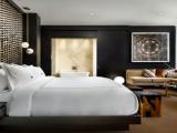The Bisha Double Suite