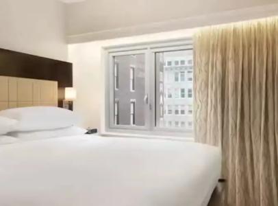 Embassy Suites By Hilton New York Manhattan Times Square - 53