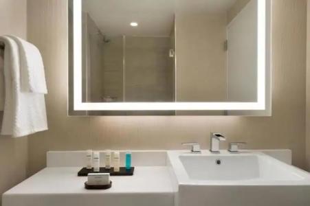 Embassy Suites By Hilton New York Manhattan Times Square - 48