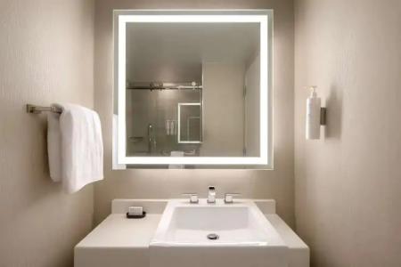 Embassy Suites By Hilton New York Manhattan Times Square - 33