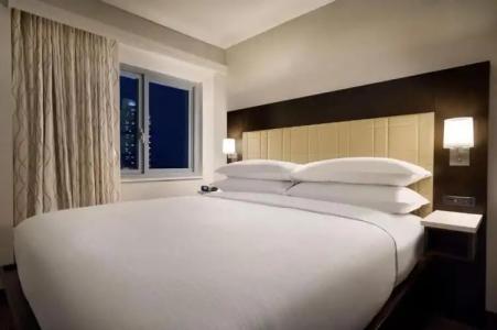 Embassy Suites By Hilton New York Manhattan Times Square - 45