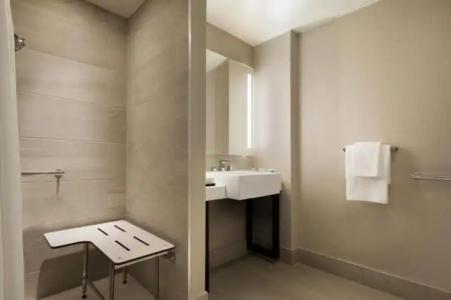 Embassy Suites By Hilton New York Manhattan Times Square - 47