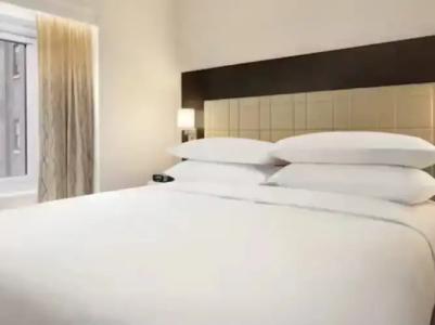 Embassy Suites By Hilton New York Manhattan Times Square - 42