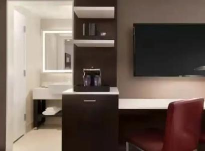 Embassy Suites By Hilton New York Manhattan Times Square - 40