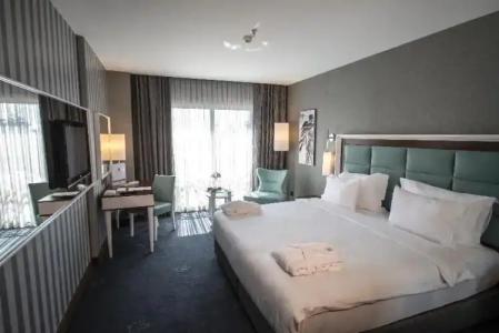 Premier Inn Sakarya - 104