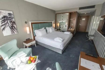 Premier Inn Sakarya - 108