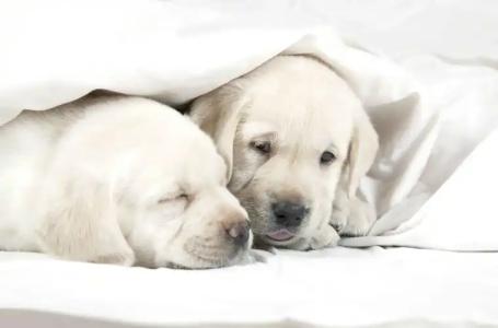 SB Glow **** Sup - 30