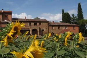 Podere La Capacciola, Sinalunga