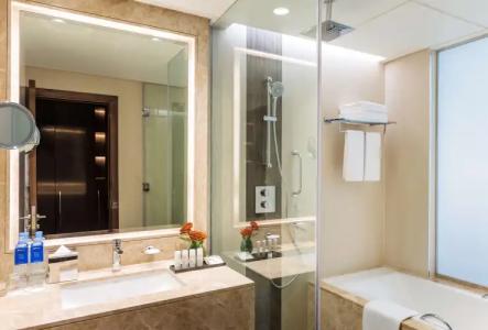 Radisson Blu, Ajman - 102
