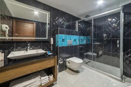 Active SKY Business - 65