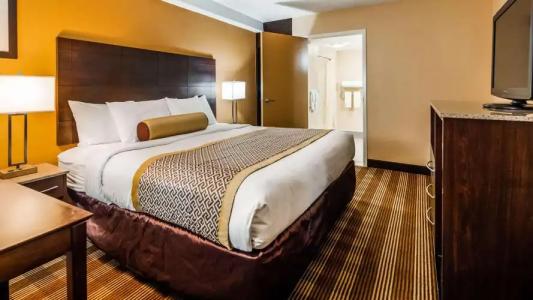 Best Western Cape Cod - 5