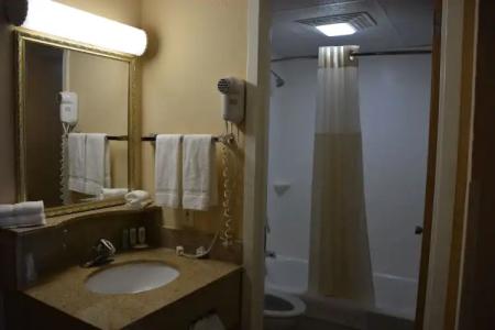 Best Western Cape Cod - 9