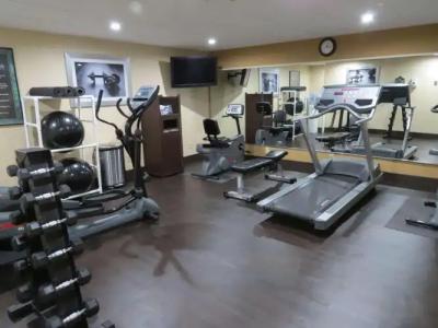 Best Western Cape Cod - 19