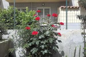 Al Camedrio, Cava d'Aliga