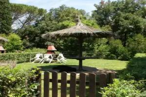 Campiglia Marittima - Hotels Campiglia Marittima - Hotels