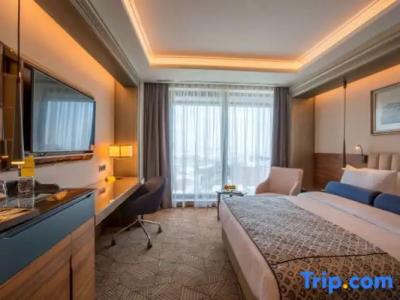 Golden Tulip Istanbul Bayrampasa - 128