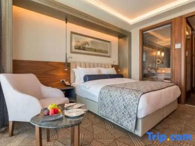 Golden Tulip Istanbul Bayrampasa - 126